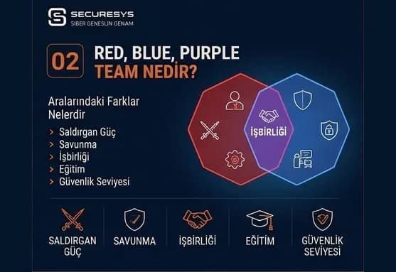 Red Team, Blue Team ve Purple Team Nedir? Aralarındaki Farklar Nelerdir?