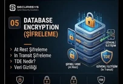 Database Encryption: At Rest, In Transit ve TDE Nedir?
