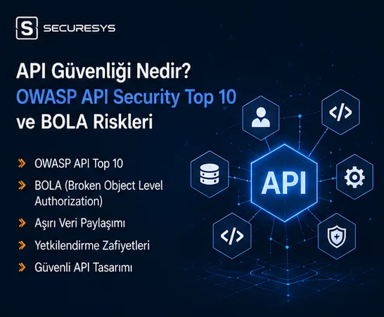 What is API security? OWASP API Security Top 10 and BOLA risks