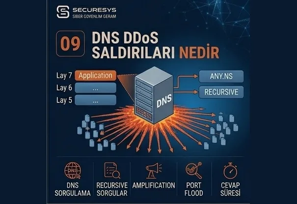 What Are DNS DDoS Attacks? DNS Flood, Amplification and DNS Security