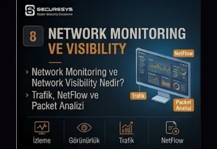 What Are Network Monitoring and Network Visibility? Traffic, NetFlow and Packet Analysis