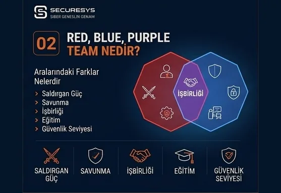 What Are Red Team, Blue Team and Purple Team? How Do They Differ?