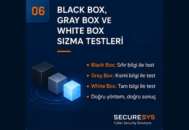 Black Box, Gray Box ve White Box Sızma Testi Nedir?