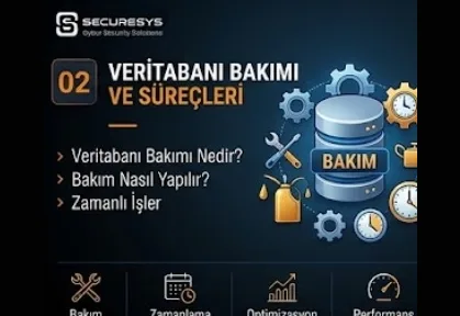 What Is Database Maintenance? How Is It Carried Out?