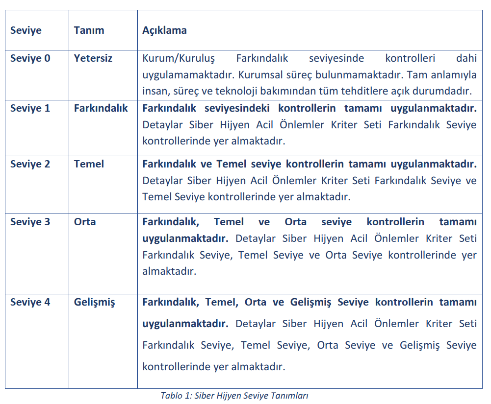 Siber hijyen görseli